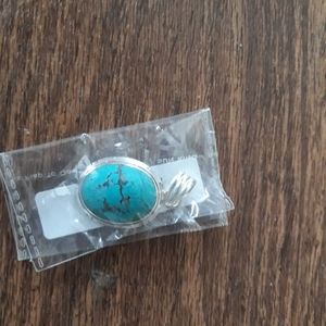 Turquoise charm
